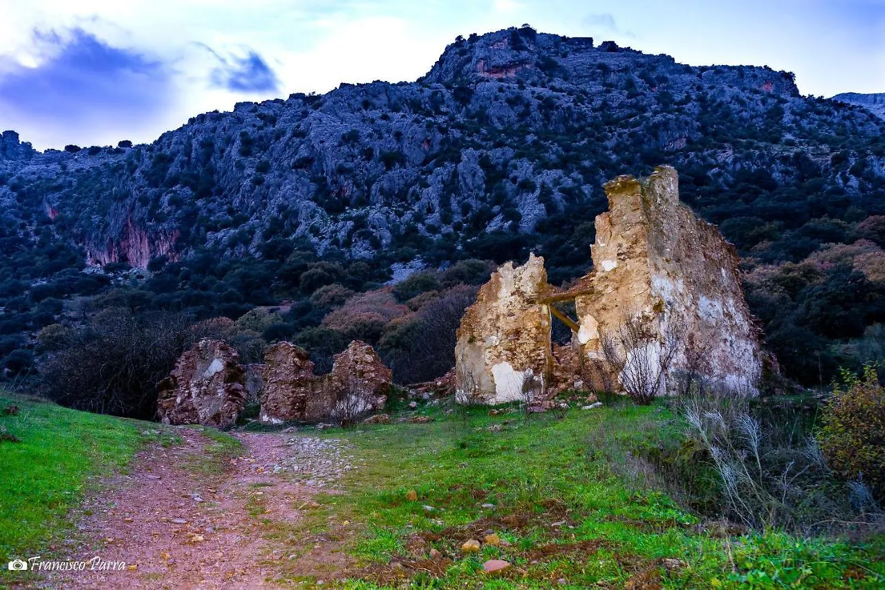 بيت للعطل Casa Rural Los Cipreses بيناوخان إسبانيا
